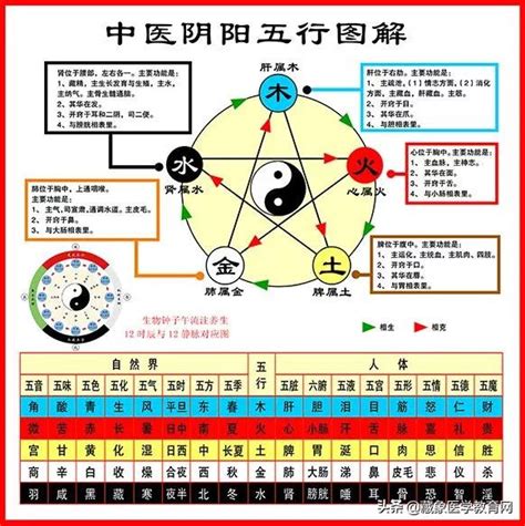 五行歸類表|中醫五行學說考點匯總：五行歸類表及五行關係